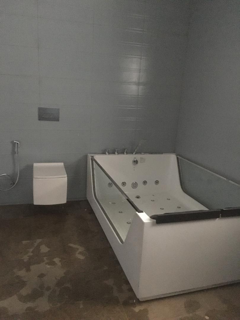 Large whirlpool bath with wall-hung toilet